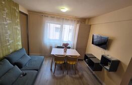 Apartament de 3 camere, cu terasa si parcare, zona Muzeul Apei