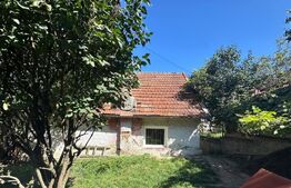 Casa de vânzare 2 camere Prejmer - 184849CV | BLITZ Brașov | Poza2