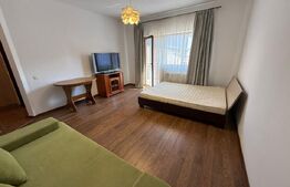 Oportunitate! Apartament cu o Cameră, 50 mp, Parcare | Iulius Mall