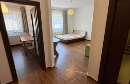 Oportunitate! Apartament cu o Cameră, 50 mp, Parcare | Iulius Mall