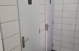 Spațiu comercial, 250 mp, zona Someșeni