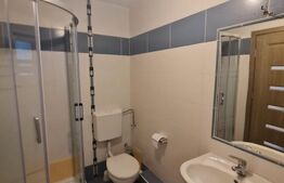 Apartament cu 4 camere, gradina, 2 terase, parcare, zona Somesului