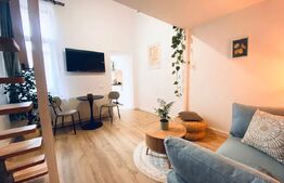 Apartament de 21 mp, tip loft, in PIATA UNIRII!