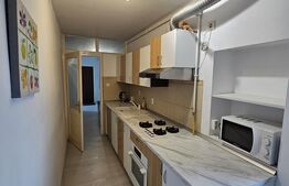 Apartament 1 camera, 45mp, etaj 2/4, la cheie, in Centrul Orasului/Piata Unirii
