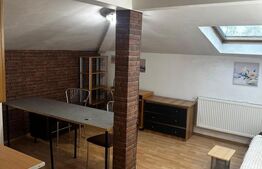 Apartament cu 2 camere, 47 mp, AC, zona Buna Ziua