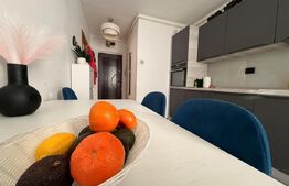 Apartament 2 camere, 45 mp, mobilat si utilat modern, zona Grivitei