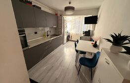 Apartament 2 camere, 45 mp, mobilat si utilat modern, zona Grivitei
