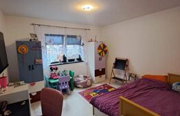 Casa parter cu priveliste spre munte,singur in curte