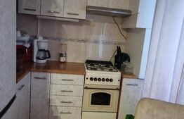 Apartament 2 camere – parter înalt – zona Stejarului 