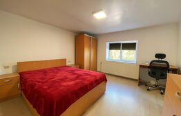 Casa traditionala din piatra, modernizata, la doar 22 km de Cluj-Napoca