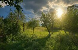 Casa traditionala din piatra, modernizata, la doar 22 km de Cluj-Napoca