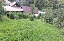 Casa in Moieciu,sat Cheia