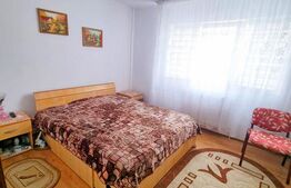 Apartament cu 3 camere decomandat - spațiu, confort și intimitate - Muzeul Apei