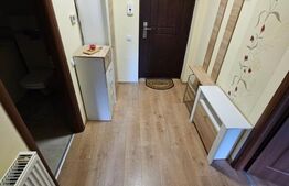 Apartament 1 camera, 38 mp + 4,5 mp balcon