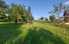 Casa ecologica tip sandwich, eficienta energetic, teren 2.673 mp, zona Baisoara