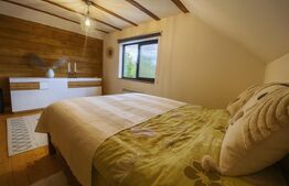 Casa ecologica tip sandwich, eficienta energetic, teren 2.673 mp, zona Baisoara