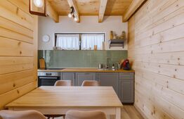 Casa ecologica tip sandwich, eficienta energetic, teren 2.673 mp, zona Baisoara