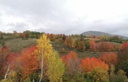 Casa ecologica tip sandwich, eficienta energetic, teren 2.673 mp, zona Baisoara