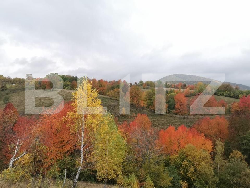 Casa de vânzare 4 camere Muntele Băişorii - 177949CV | BLITZ Cluj-Napoca | Poza17