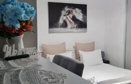 Studio ultracentral – Investiția ideală în Inima Orașului!