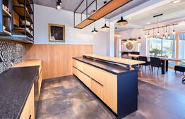 Vila  spectaculoasa de vanzare in Faget 