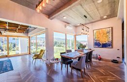 Vila  spectaculoasa de vanzare in Faget 