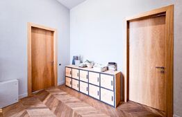 Vila  spectaculoasa de vanzare in Faget 