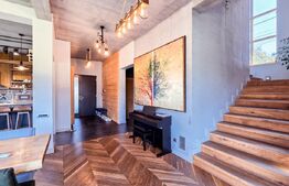 Vila  spectaculoasa de vanzare in Faget 