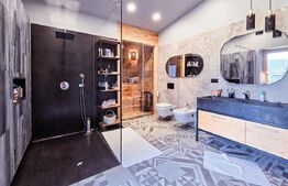 Vila  spectaculoasa de vanzare in Faget 