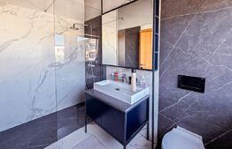 Vila  spectaculoasa de vanzare in Faget 