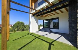 Vila  spectaculoasa de vanzare in Faget 