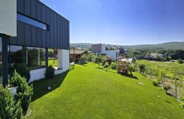 Vila  spectaculoasa de vanzare in Faget 