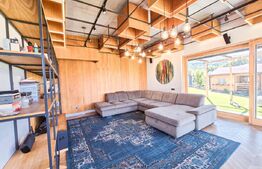 Vila  spectaculoasa de vanzare in Faget 