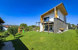 Vila  spectaculoasa de vanzare in Faget 