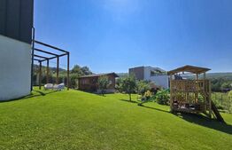 Vila  spectaculoasa de vanzare in Faget 