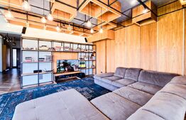 Vila  spectaculoasa de vanzare in Faget 