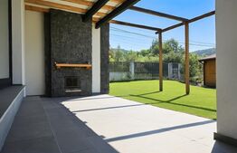 Vila  spectaculoasa de vanzare in Faget 