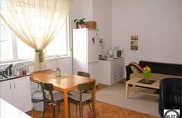 Vila in zona centrala din Cluj!