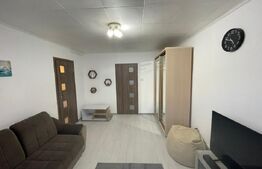 Vand Garsoniera, Zona Accesibila