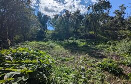 Casă renovabilă cu teren generos de 1268 mp și front de 20 m, Gheorghieni Sat