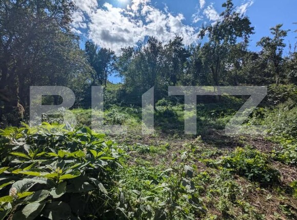 Casa de vânzare 3 camere Gheorghieni Sat - 177986CV | BLITZ Cluj-Napoca | Poza4