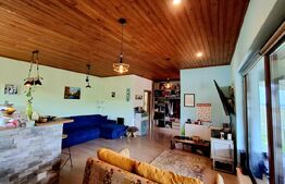 Casa individuala cocheta, teren 700 mp, in Colonia Valea Fanatelor