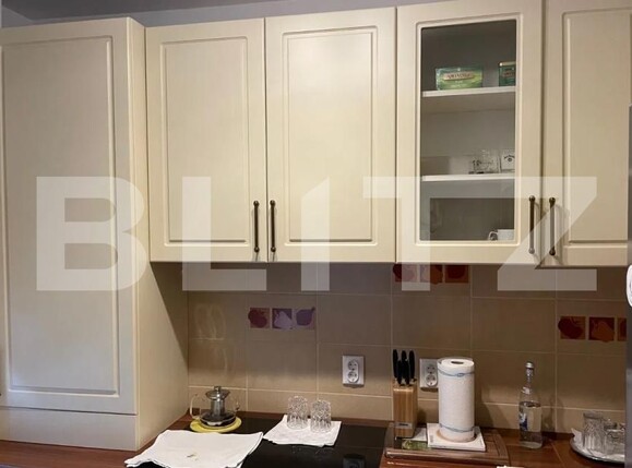 Apartament de închiriat 2 camere Andrei Mureşanu - 178027AI | BLITZ Cluj-Napoca | Poza5