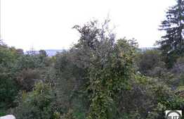 Casa demolabila 160 mp, D+P+E cu 802 mp teren, zona Gradina Botanica