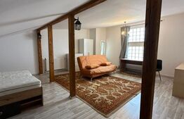 Apartament spațios 74 mp + mansardă 37 mp, parcare în curte, Mănăștur