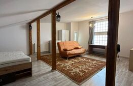 Apartament spațios 74 mp + mansardă 37 mp, parcare în curte, Mănăștur