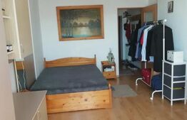 Apartament cu 1 camera, 40 mp, parcare zona Marasti