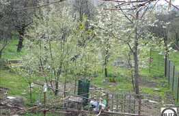 150 mp , zona Gradinii Botanice. Imobil situat la artera principala !!!