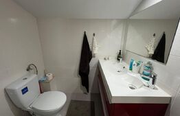 IMOBIL MIXT  P+E – Locuință + Spațiu comercial | 133,45 mp utili, teren 235 mp 