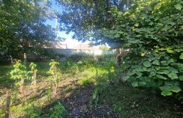 Casă 70 mp, 3 camere , bucatarie,  baie , teren 1270 mp, Prejmer 